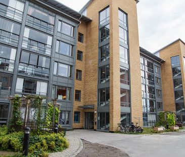 Hamngatan 41 A, 94162, Piteå - Foto 2