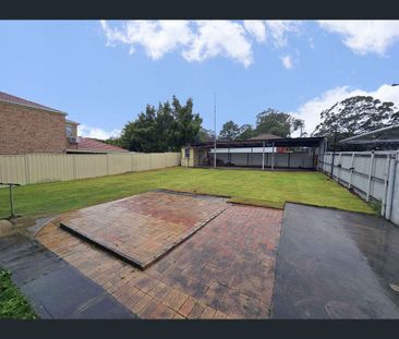 50 Bulli Road, Toongabbie, NSW 2146 - Photo 5