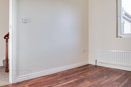 60 Rockview Street, Belfast, BT12 6JR, Belfast - Photo 4