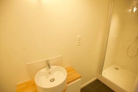 Appartement 2 pièces à Lille - Photo 5