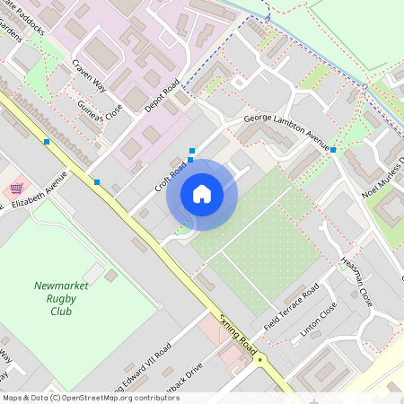 Corsican Pine Close, CB8, Newmarket