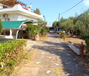 Μονοκατοικία για ενοικίαση - Ανθηδώνος, - Photo 5