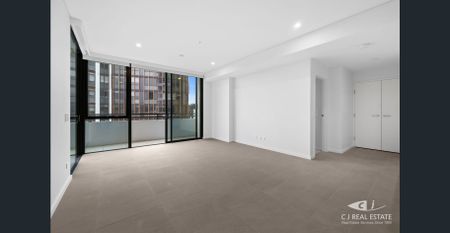 Brand New North Facing Apartment - Photo 2