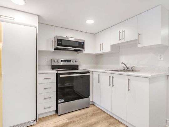 For Lease - 213 Blackthorn Avenue Unit# Basement, Toronto, Ontario - Photo 1