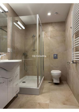 Inchirieri Apartamente 5+ camere Bucuresti - Fotografie 3