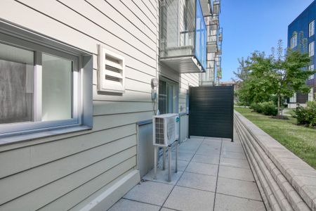 9675 Av. Papineau - Photo 3
