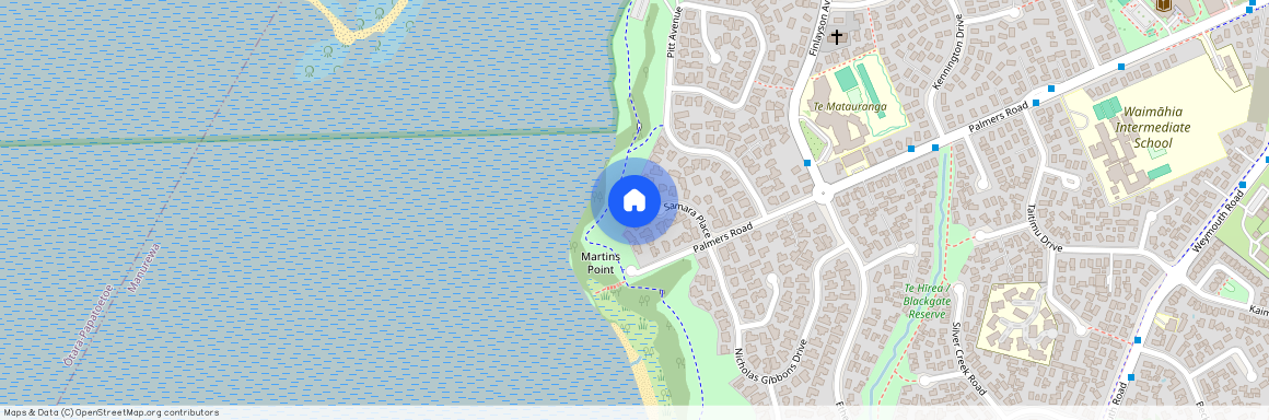 29 Samara Place, Clendon Park, Manukau City