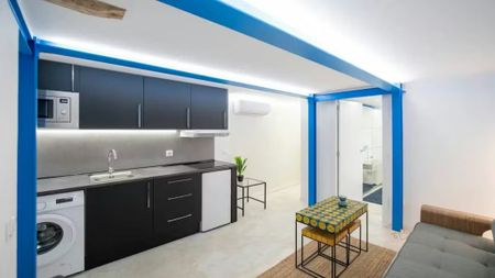 Calle del Olmo, Madrid, Community of Madrid 28012 - Photo 5