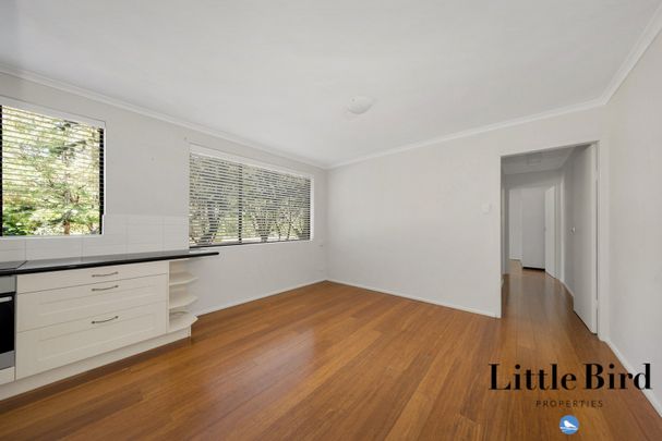 5a/60 Wattle St, Lyneham ACT 2602 - Apartment For Rent | Domain - Photo 1