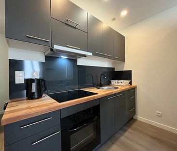 Location Appartement 1 pièce 24m² - Photo 3