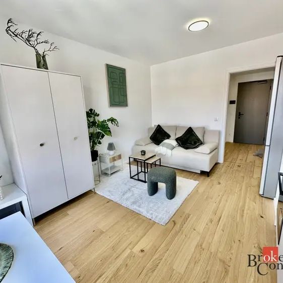 Pronájem bytu 1+kk 24 m - Fotografie 1