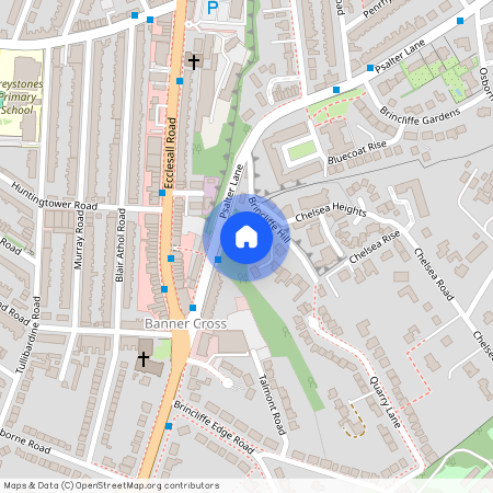 Brincliffe Hill, S11, Sheffield