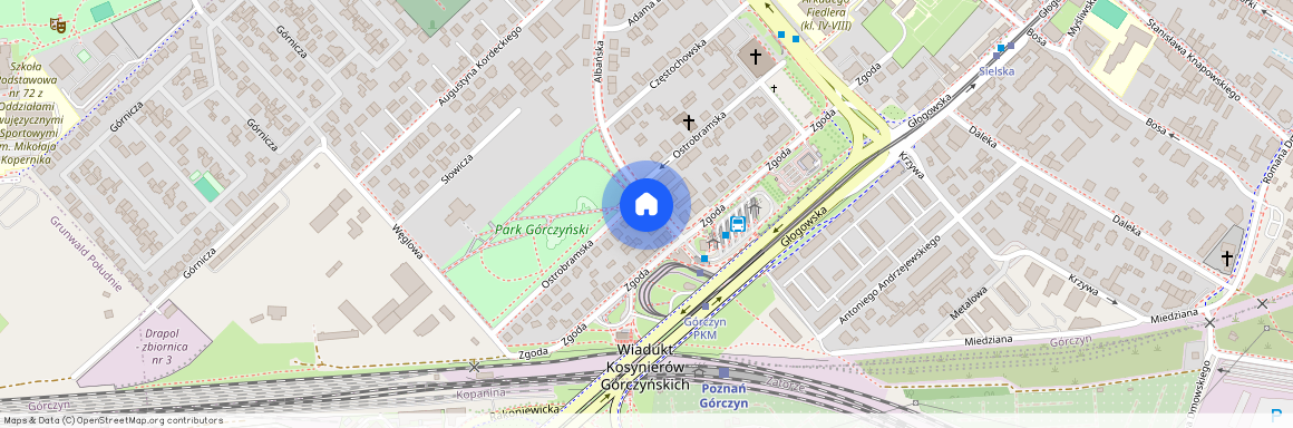 Górczyn, Grunwald, Poznań, wielkopolskie