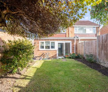 3 bedroom semi-detached house to rent - Photo 3