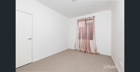 Stunning Family Home in Bardon - 56 Lorward Avenue - Photo 5