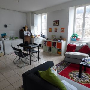 Location Appartement 2 pièces 49m² ANNONAY 07100 - Photo 2