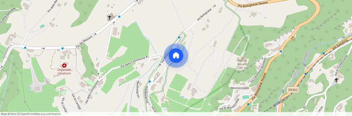 Via dello Spedaluzzo della Ruota, Florence, Tuscany 50139