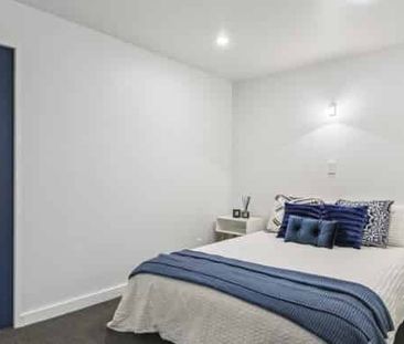 Bright CBD Oasis - Photo 3