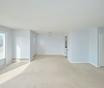 For Lease - 253 Fitch Street Unit# 304, Welland, Ontario - Photo 4