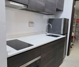 Sims Urban Oasis (D14), Condominium - For Rent - Photo 2