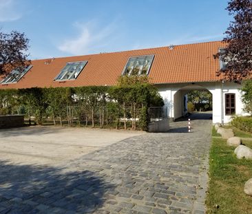 Terrassenwohnung mit Designer-Möblierung in Köln - Photo 2