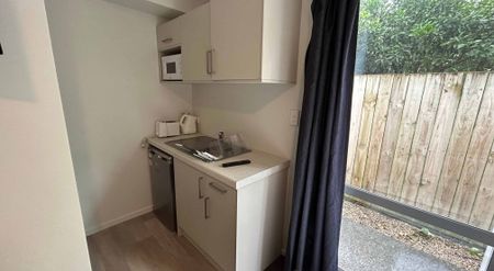 Semi-Furnished Studio - Photo 5