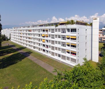 Prenez de la hauteur à Meyrin - Photo 5