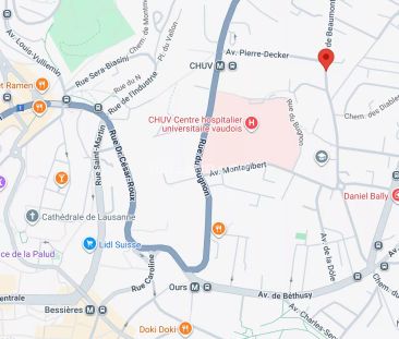 Grand studio à deux pas du CHUV - Photo 5