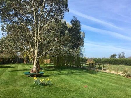 Eastergate Lane Walberton, BN18 - Photo 2