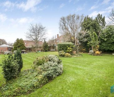 1 bedroom property to rent - Photo 3