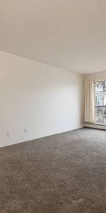 Seaport Apartments - 1 Bedroom - Available January 1st - Photo 3