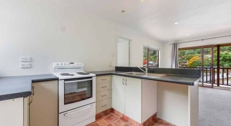 Overlooking Wairau Road - Photo 3