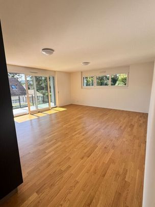 EXCEPTIONAL JEWEL IN PREGNY-CHAMBÉSY: 5.5 NEW PIECES (2022) RIGHT BANK! - Photo 1