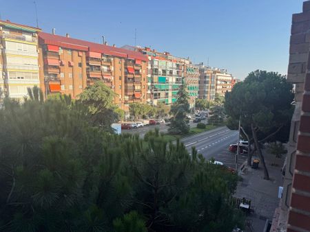 valencia, Valencian Community 46550 - Photo 5