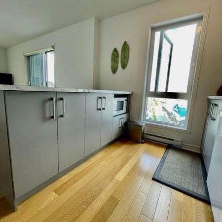 Charmant 3 ½ lumineux au 7e étage a 2 pas du metro Montmorency - Photo 3