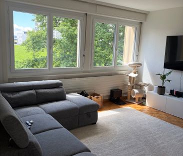 3 Zimmer, 86 m² - Foto 5