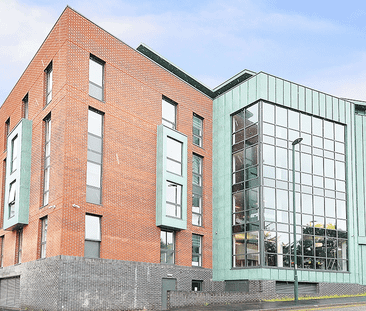 Large Classic Studio - Photo 3