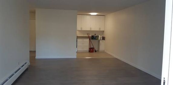 2 Bedroom Apt Commercial Dr - Photo 2