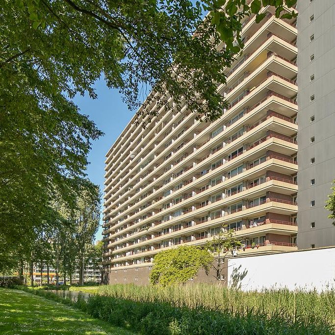 Te huur: Appartement Arthur van Schendelplein 143 in Delft - Foto 1