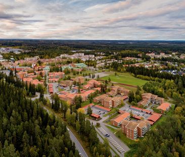 Timmervägen 69C - Foto 4