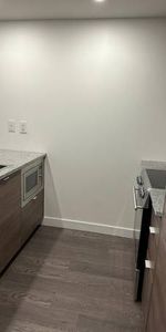 Marine Gateway - 1 bedroom w/Den apartment for rent - Photo 4