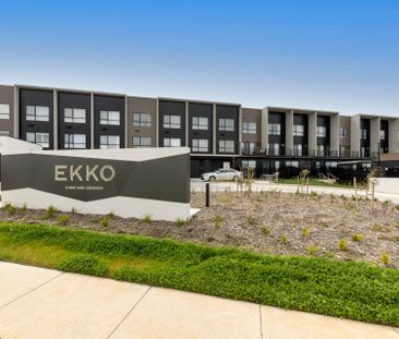 Whitlam Townhouse - Photo 5