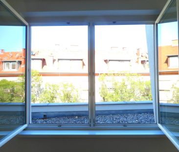 CITY PARK sonnige, sanierte 2ZI mit Allgemeingarten - Photo 6