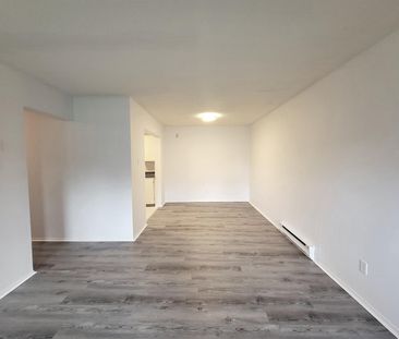 30 Rue De Matapédia (Gatineau) Très Grand 4 1/2 - Photo 3
