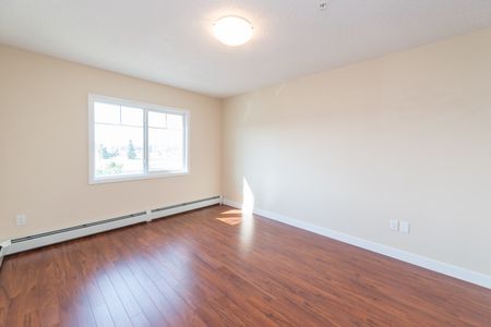 Solara at Sky View - Photo 4