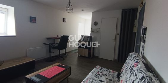 Location Appartement 1 pièce 20m² - Photo 3