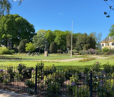 Beschrijving Albertus Perkstraat - Foto 3