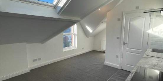 1 bedroom property to rent in Doncaster - Photo 3