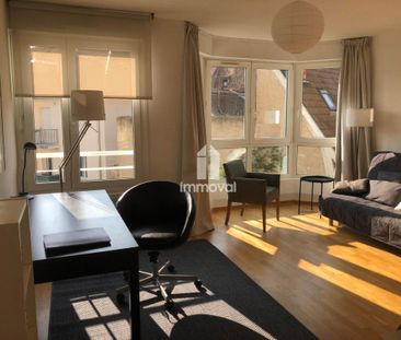 Location Appartement 1 pièce Meublé 30m² STRASBOURG 67000 - Photo 4