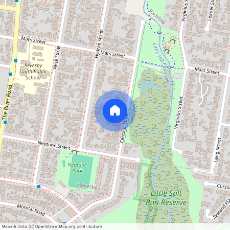 82 Centaur Street, NSW 2212, Revesby